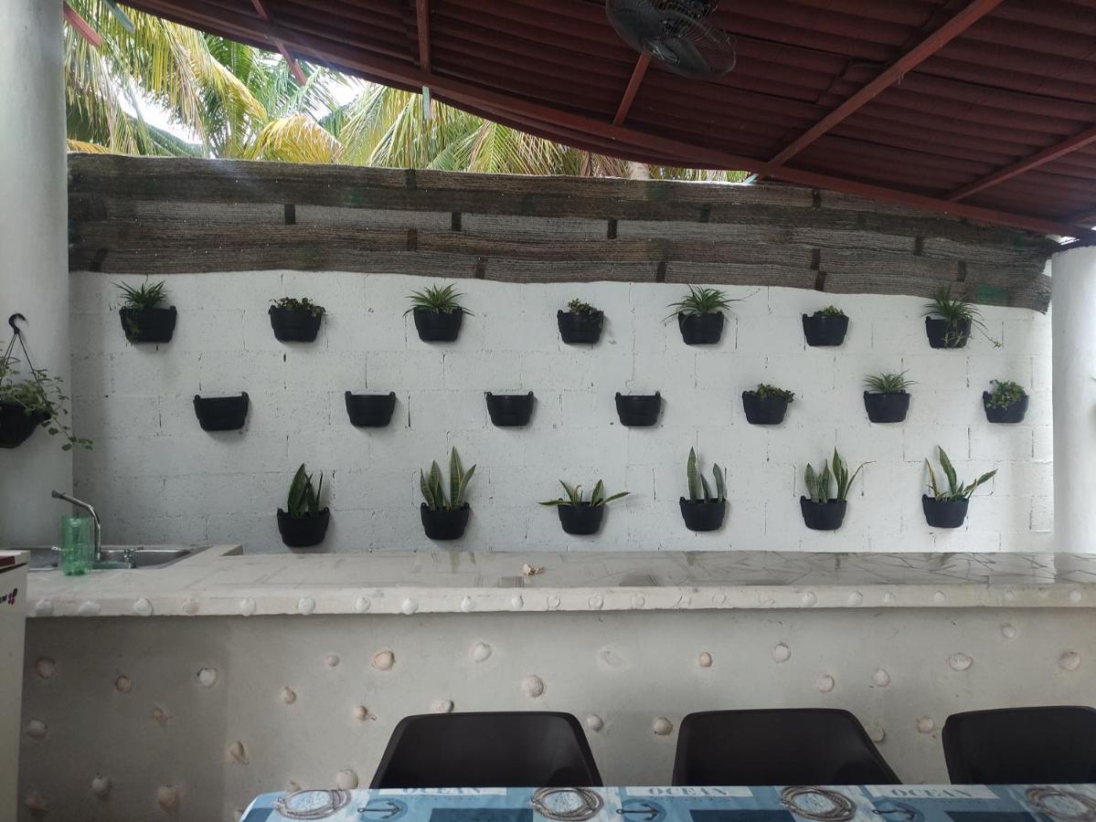 Departamentos Y Habitaciones Sak Naj Telchac Puerto Ngoại thất bức ảnh